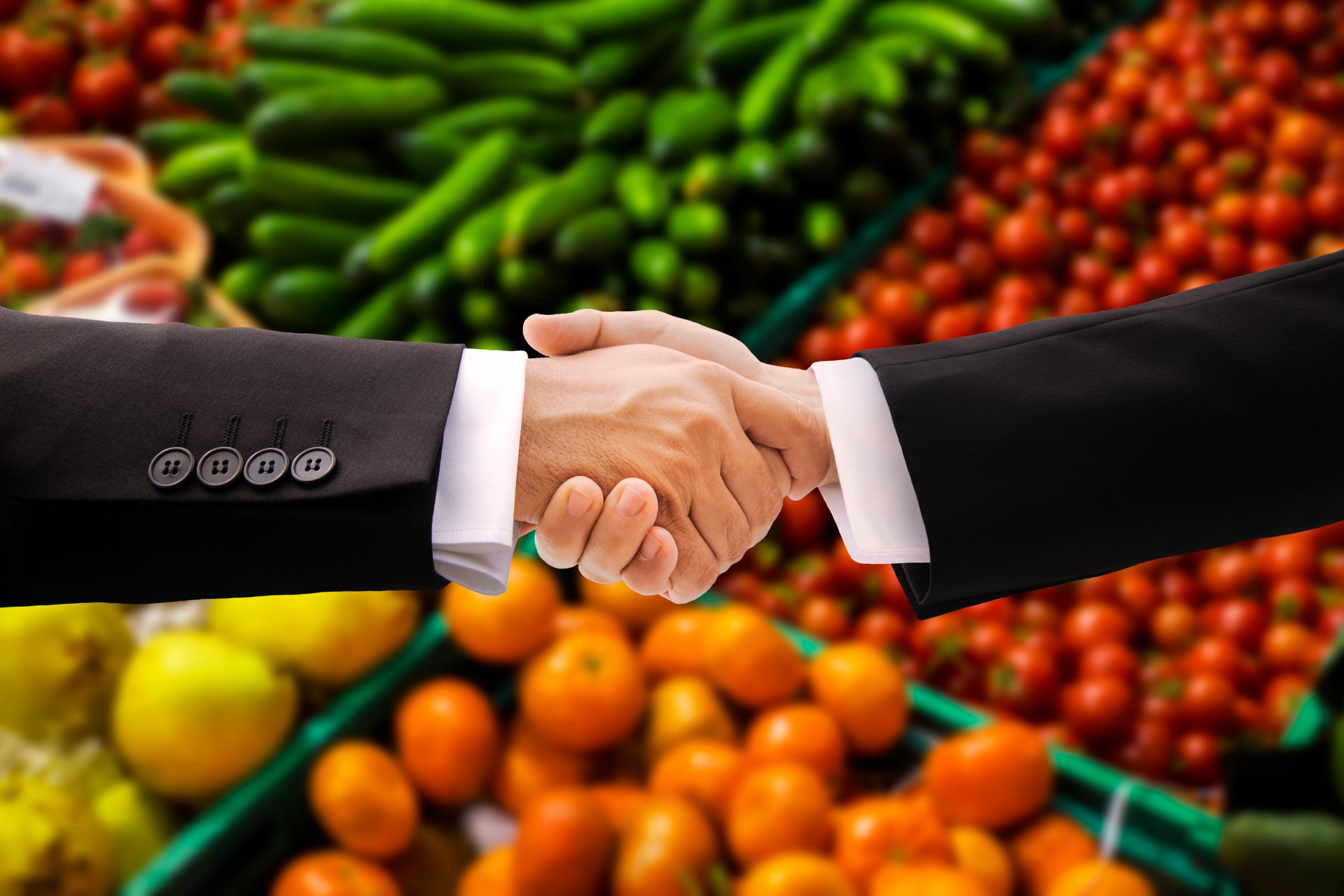 Offering businessman,shaking,hands